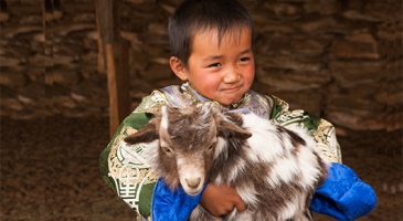 The rise of unregulated livestock production in East and Southeast Asia prompts health concerns – UNFAO 